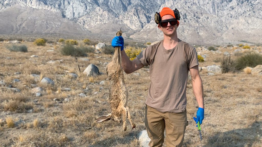 Hunting Jackrabbits in California