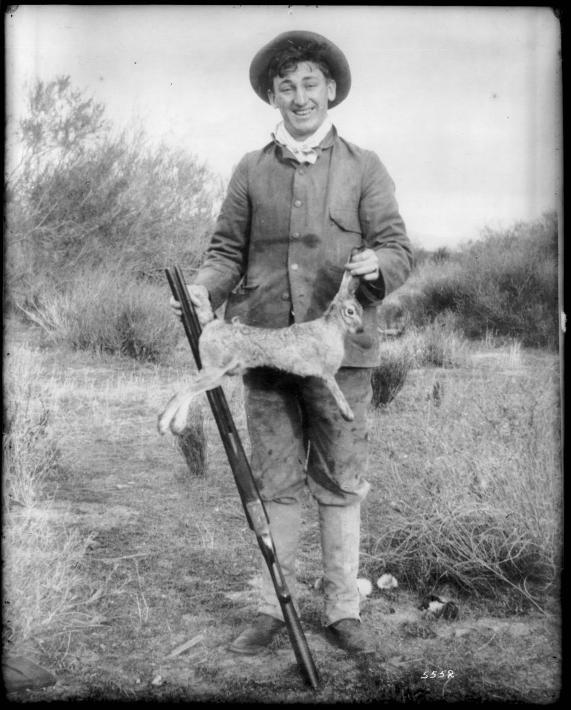 Hunting Jackrabbits in California