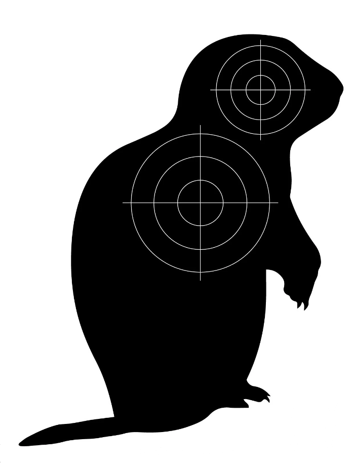 Dangerous Misconceptions: Will a Pellet Gun Kill a Groundhog Instantly