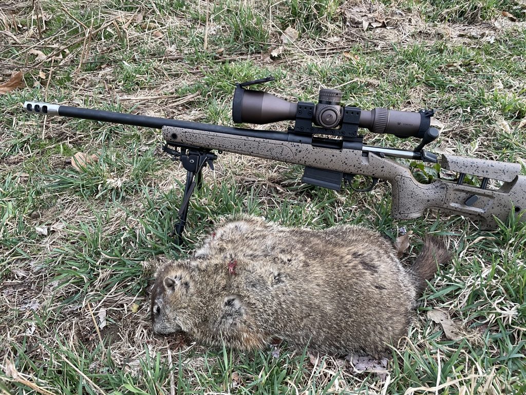 Ultimate Guide Series: How to Hunt Groundhogs - Old Oak Syndicate