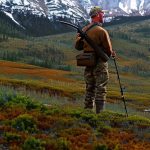 Conquering the Wild: A Guide to Successful 7mm-08 Elk Hunting