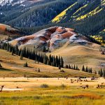 Craig, Colorado: The Ultimate Destination for Elk Hunting Enthusiasts