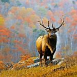 Embark on a Thrilling Adventure: Kentucky Elk Hunting with Expert Guides