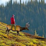 Exploring the Thrill of Elk Hunting in British Columbia: A Guide to a Memorable Experience