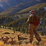 Exploring the Thrill of Colorado Elk Hunting: A Look at the Latest Statistics and Trends