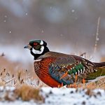 Snow Secrets Revealed: The Ultimate Guide to Pheasant Hunting in Snow