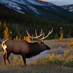 308 Win: The Ultimate Choice for Elk Hunting Success