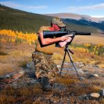 Unleashing the Thrill of Elk Hunting: My Experience with a 308 Rifle