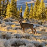 guided mule deer hunts idaho