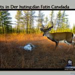 deer hunting in manitoba canada