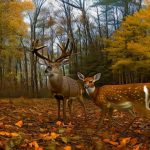 north carolina deer hunting forum